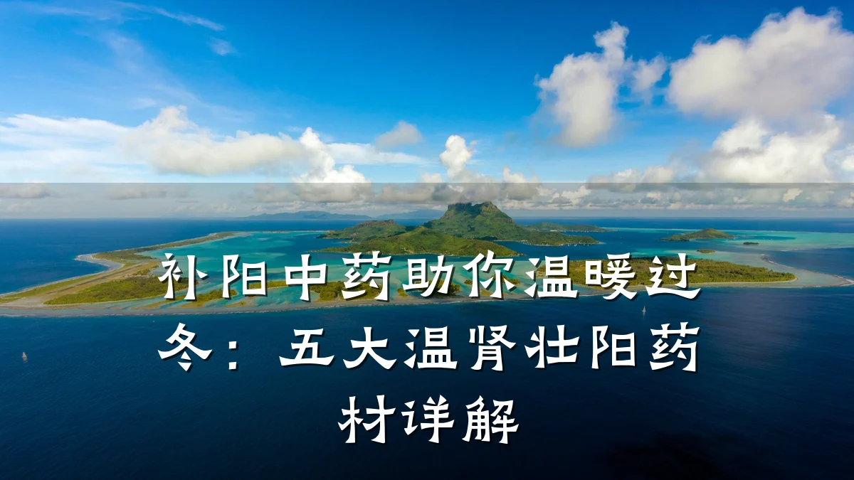 补阳中药助你温暖过冬:五大温肾壮阳药材详解
