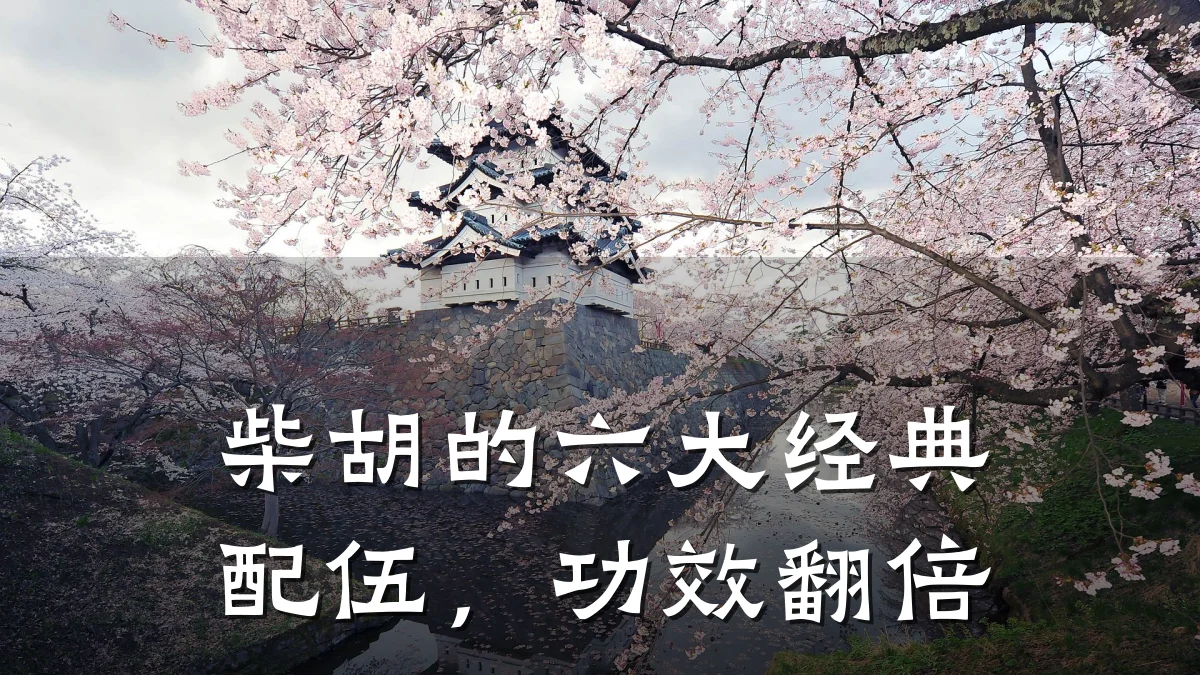 柴胡的六大经典配伍,功效翻倍