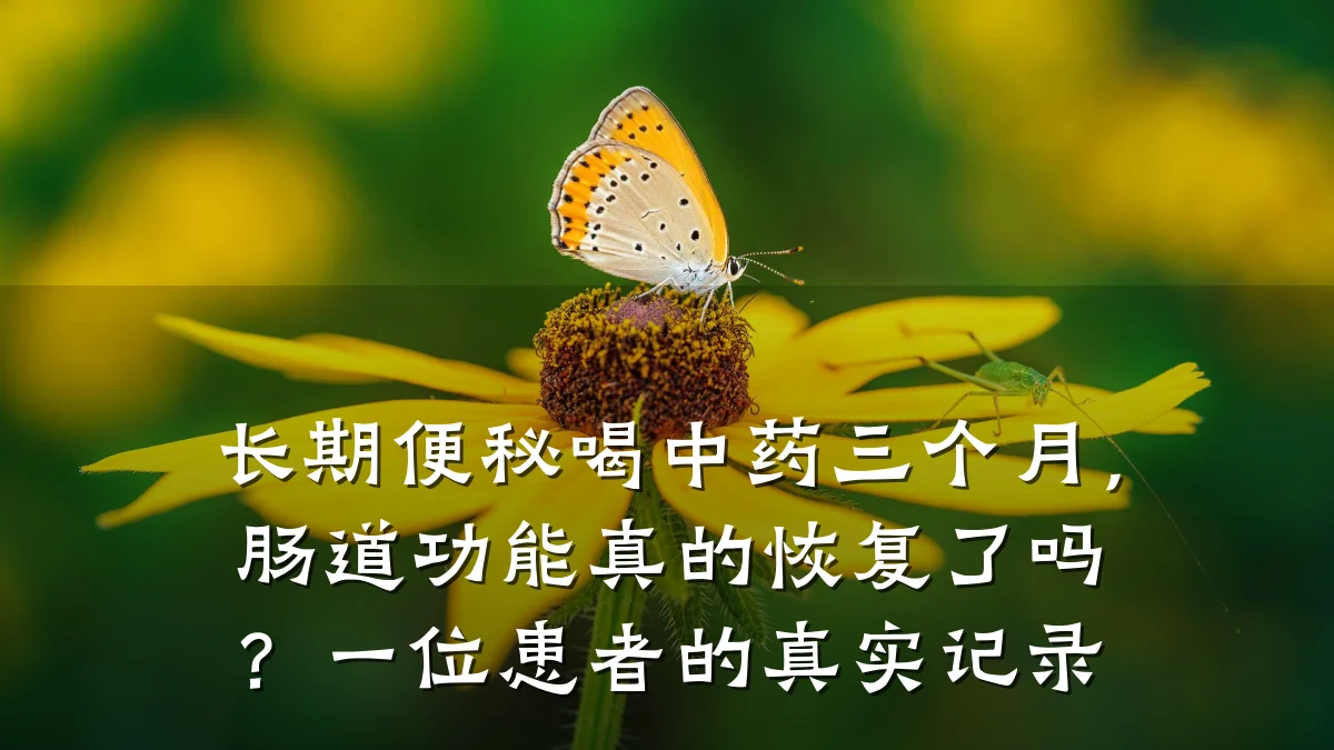 长期便秘喝中药三个月,肠道功能真的恢复了吗?一位患者的真实记录