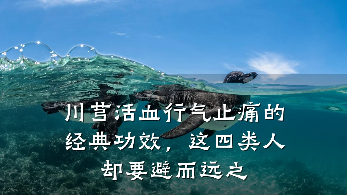 川芎活血行气止痛的经典功效,这四类人却要避而远之