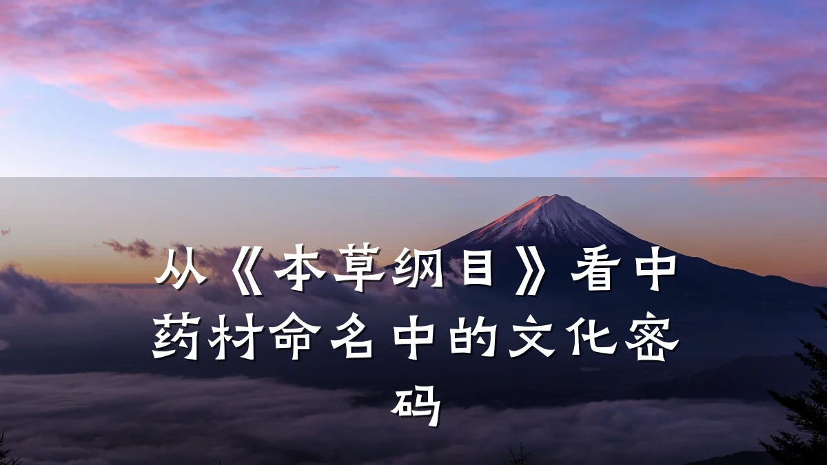 从《本草纲目》看中药材命名中的文化密码