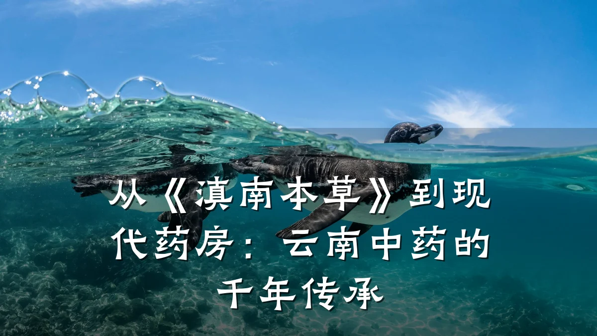 从《滇南本草》到现代药房：云南中药的千年传承