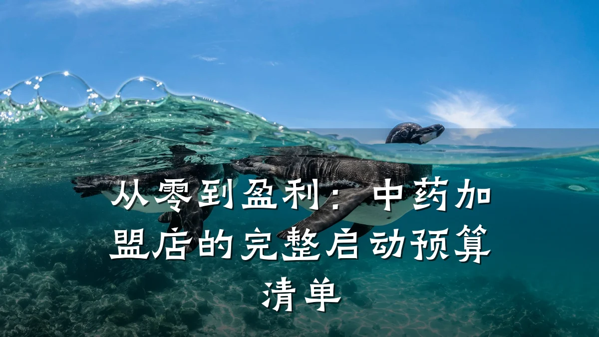 从零到盈利：中药加盟店的完整启动预算清单