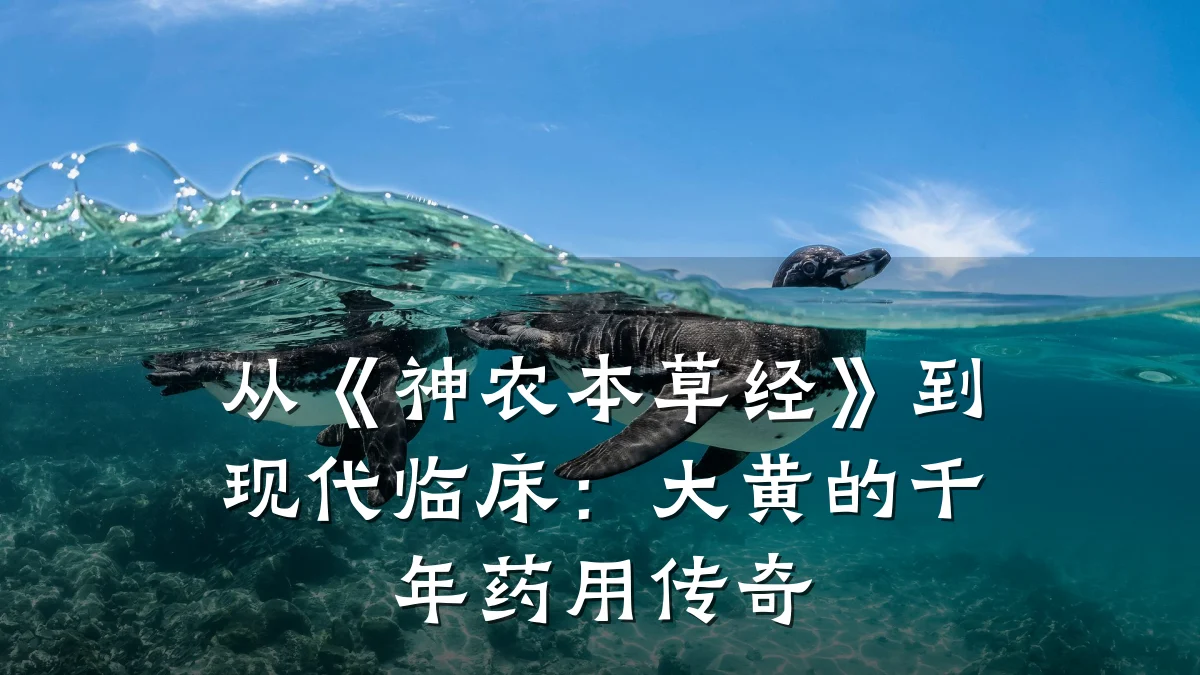从《神农本草经》到现代临床:大黄的千年药用传奇