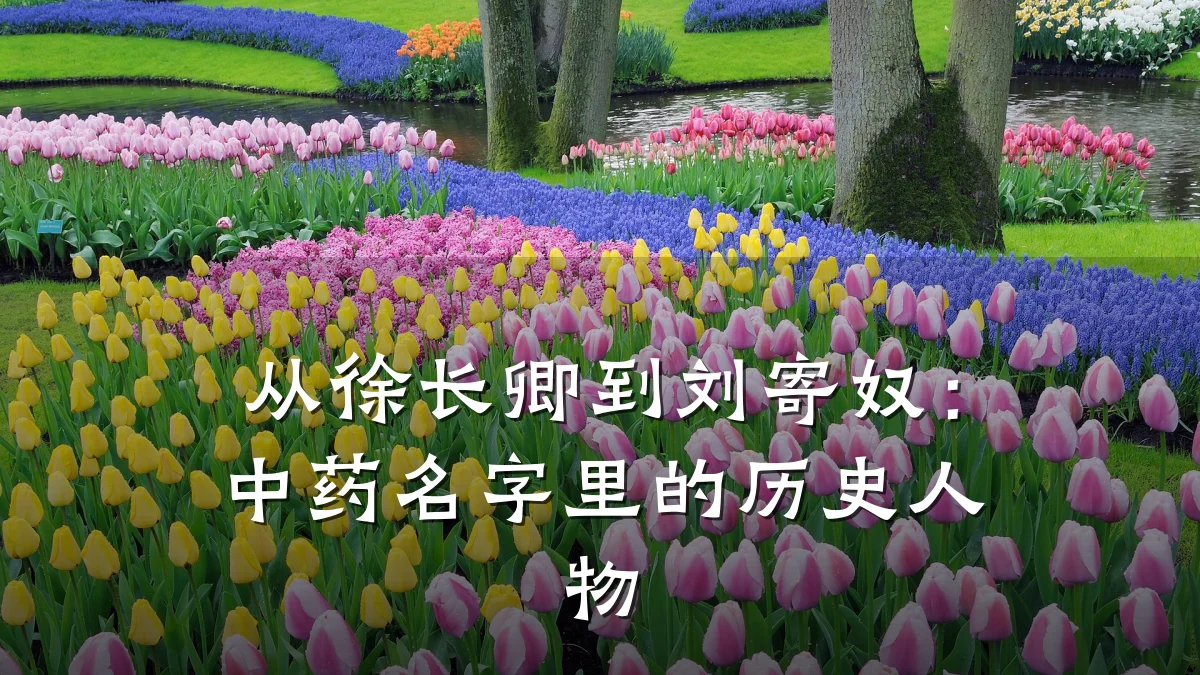 从徐长卿到刘寄奴：中药名字里的历史人物
