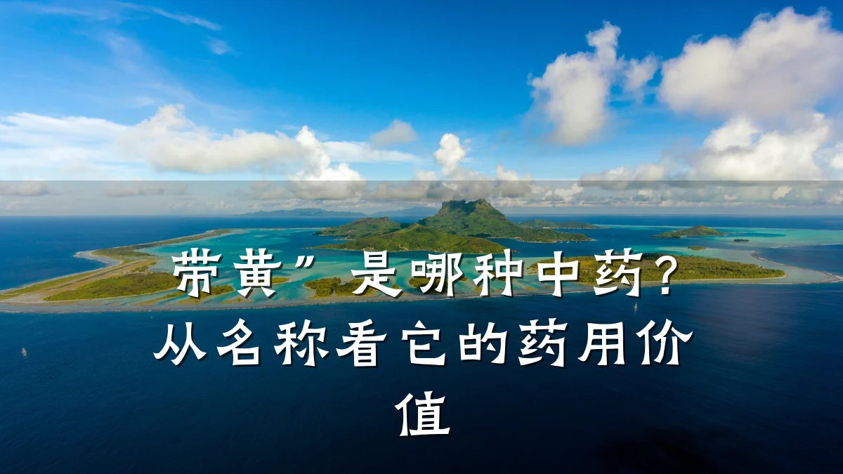 带黄”是哪种中药?从名称看它的药用价值