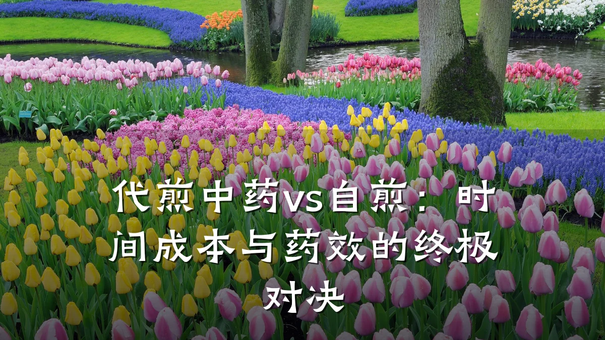 代煎中药vs自煎:时间成本与药效的终极对决