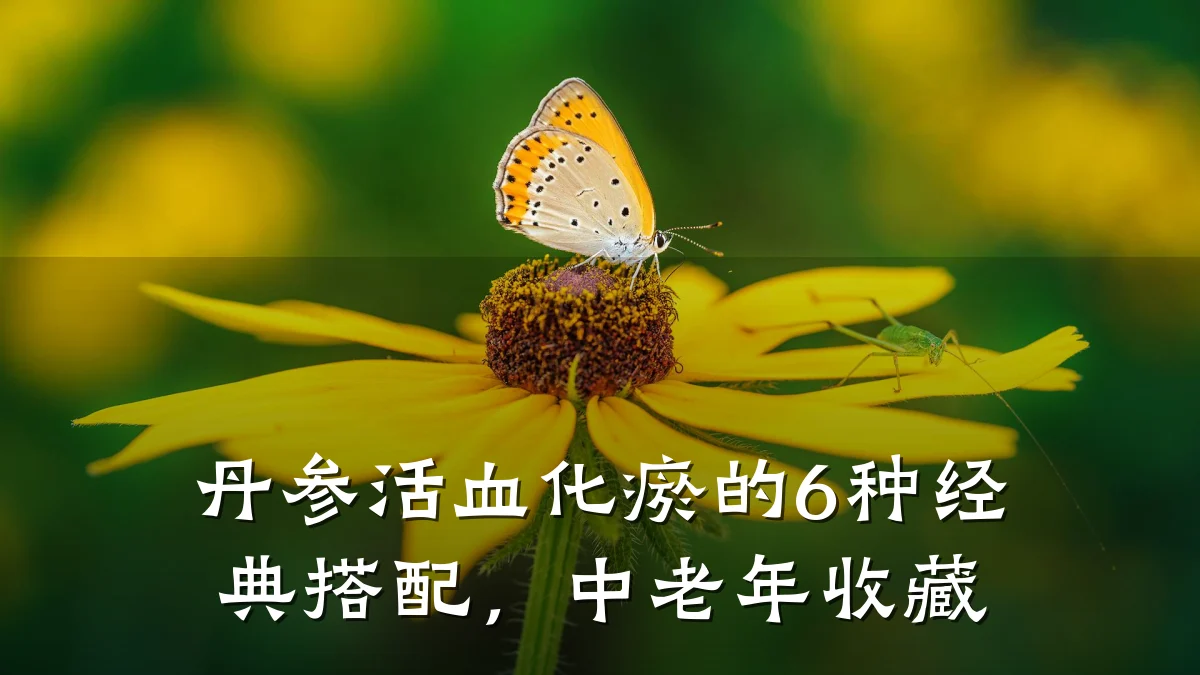 丹参活血化瘀的6种经典搭配,中老年收藏