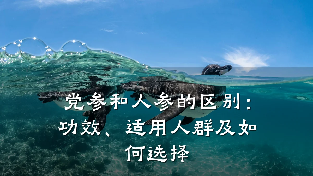 党参和人参的区别:功效、适用人群及如何选择