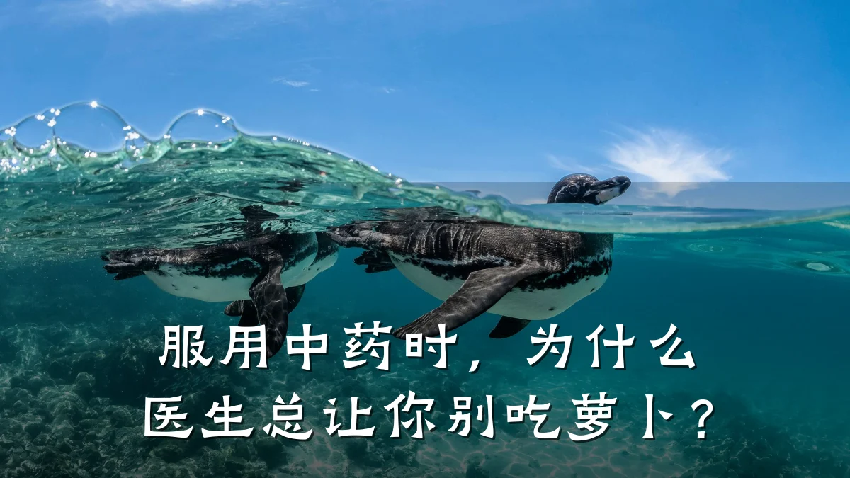 服用中药时，为什么医生总让你别吃萝卜？