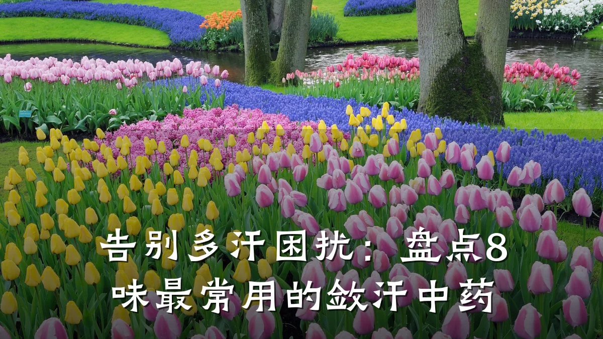 告别多汗困扰：盘点8味最常用的敛汗中药