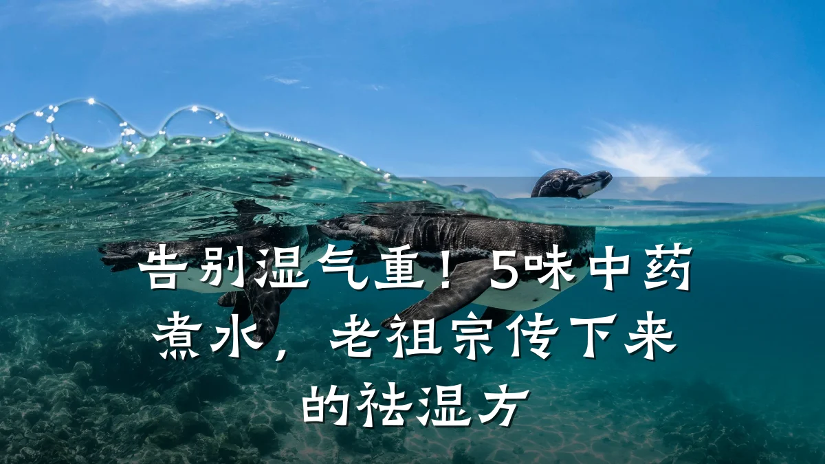 告别湿气重!5味中药煮水,老祖宗传下来的祛湿方