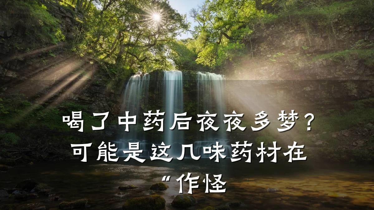 喝了中药后夜夜多梦?可能是这几味药材在“作怪