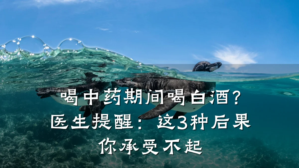 喝中药期间喝白酒?医生提醒:这3种后果你承受不起