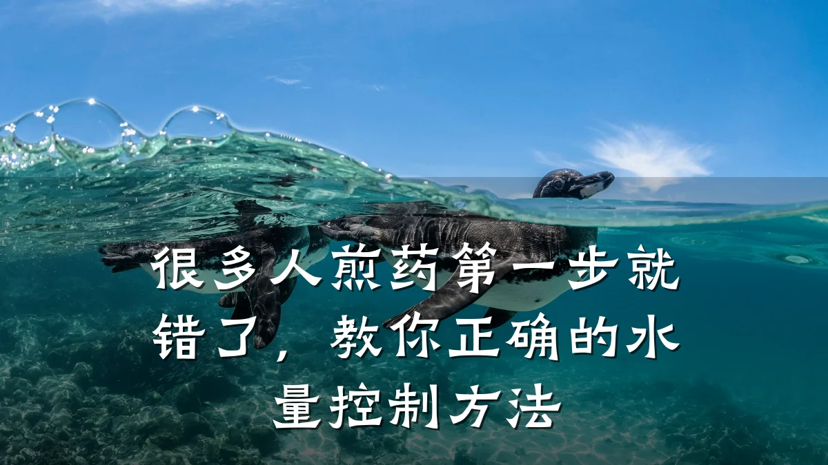 很多人煎药第一步就错了,教你正确的水量控制方法