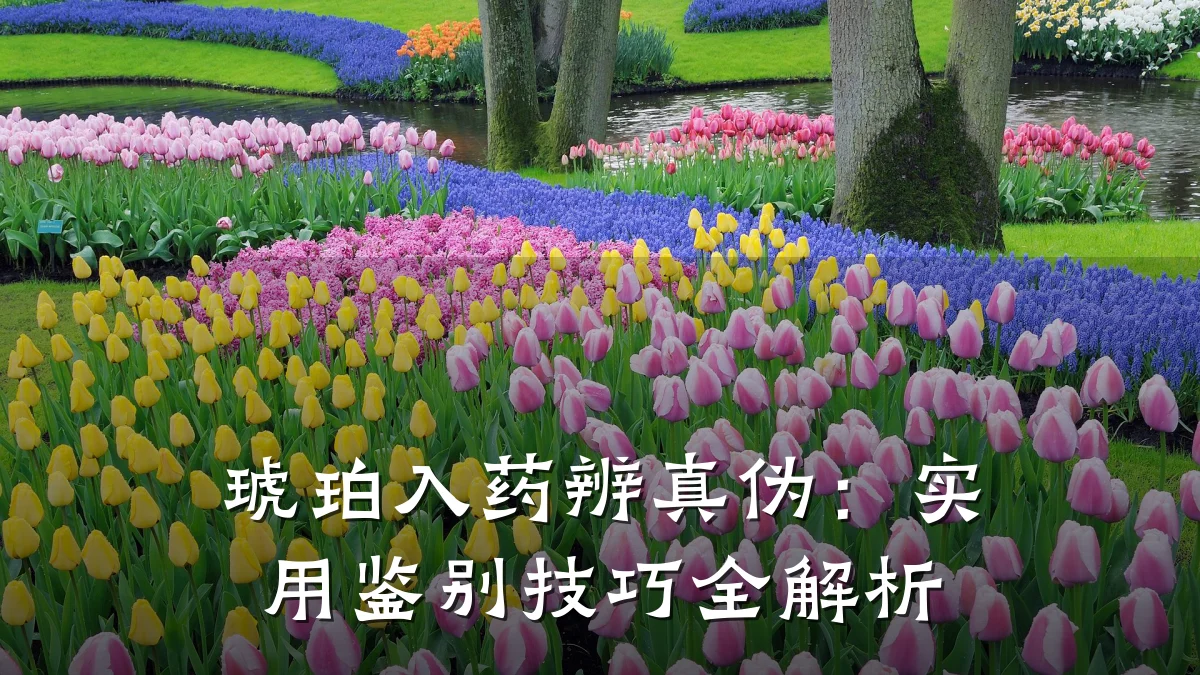 琥珀入药辨真伪:实用鉴别技巧全解析