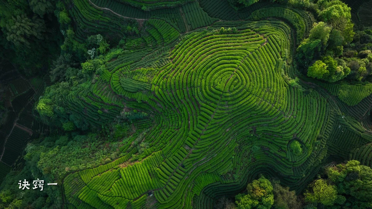 诀窍一