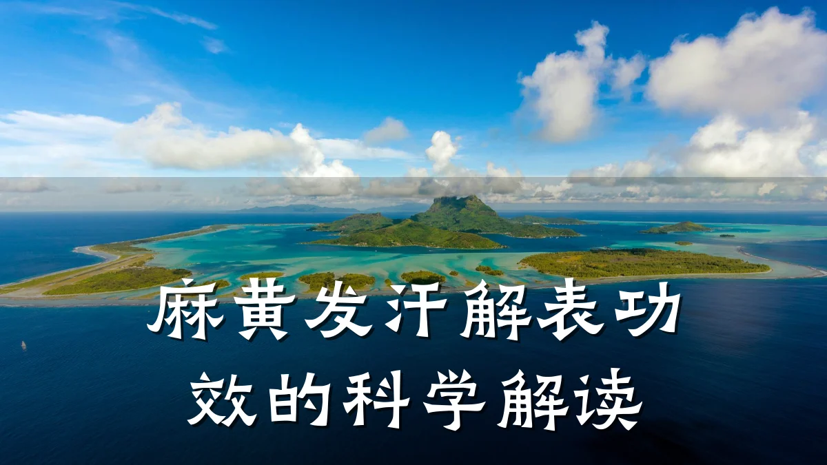 麻黄发汗解表功效的科学解读