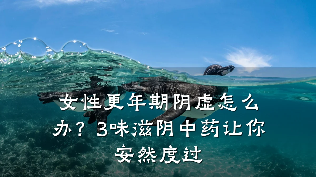 女性更年期阴虚怎么办?3味滋阴中药让你安然度过