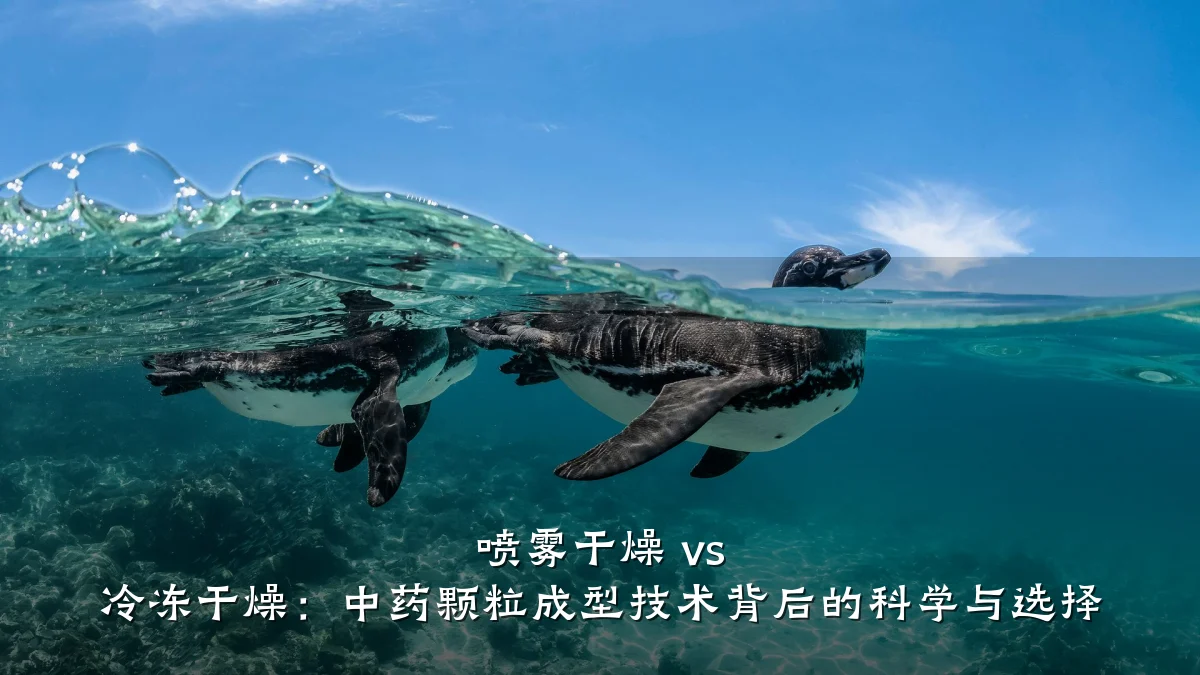 喷雾干燥 vs 冷冻干燥:中药颗粒成型技术背后的科学与选择