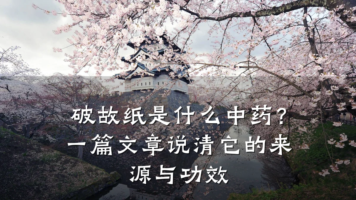 破故纸是什么中药?一篇文章说清它的来源与功效