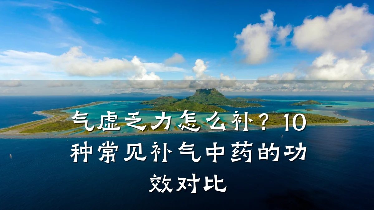 气虚乏力怎么补?10种常见补气中药的功效对比