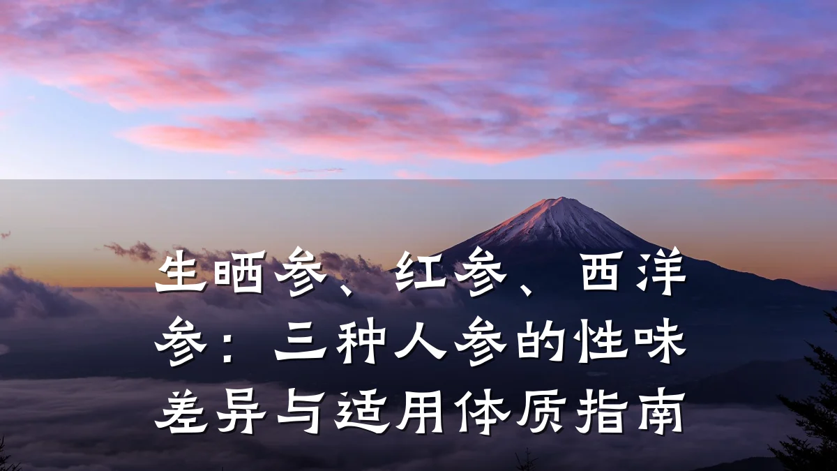 生晒参、红参、西洋参:三种人参的性味差异与适用体质指南