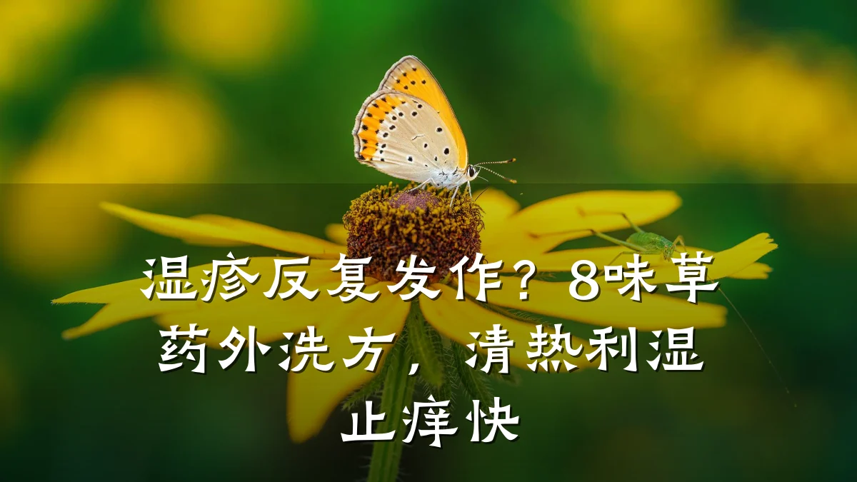 湿疹反复发作?8味草药外洗方,清热利湿止痒快