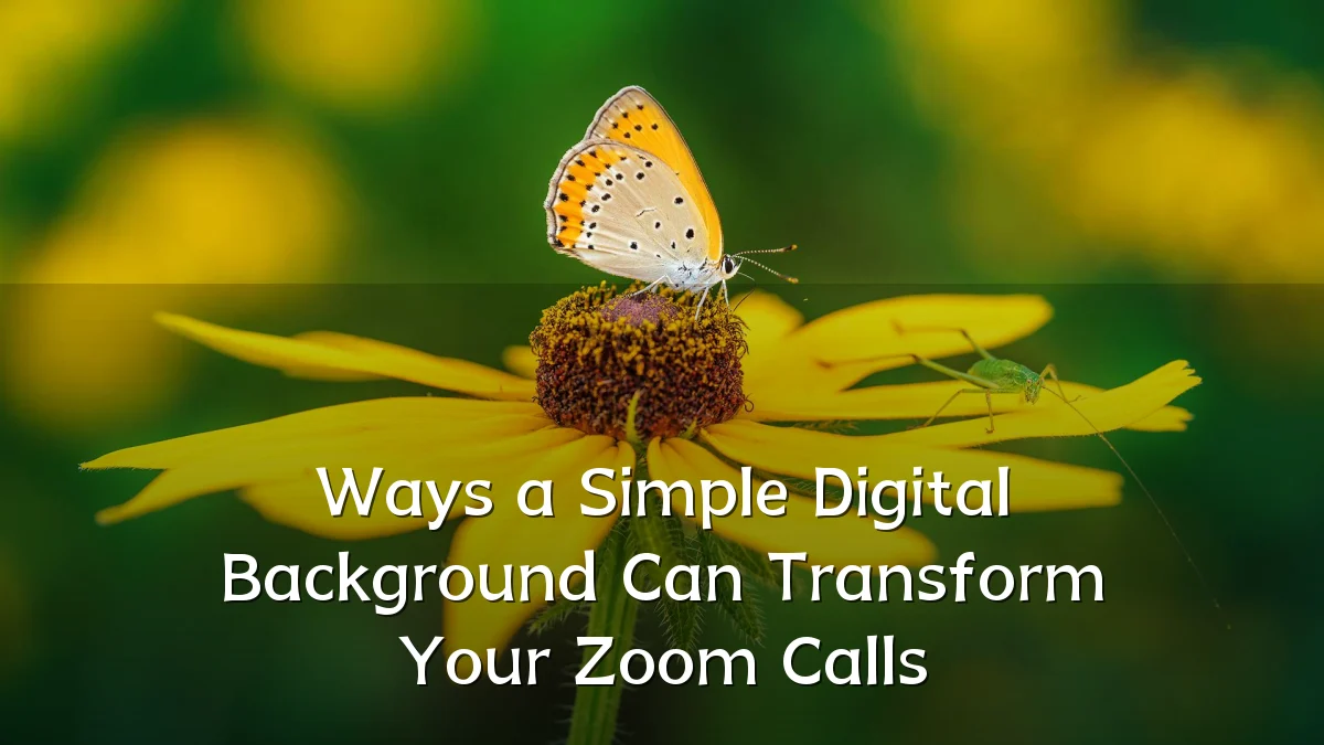 Ways a Simple Digital Background Can Transform Your Zoom Calls