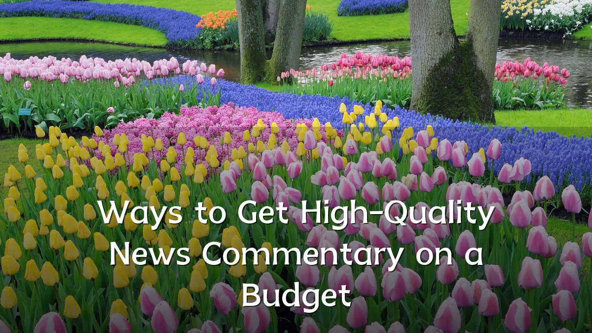 Ways to Get High-Quality News Commentary on a Budget