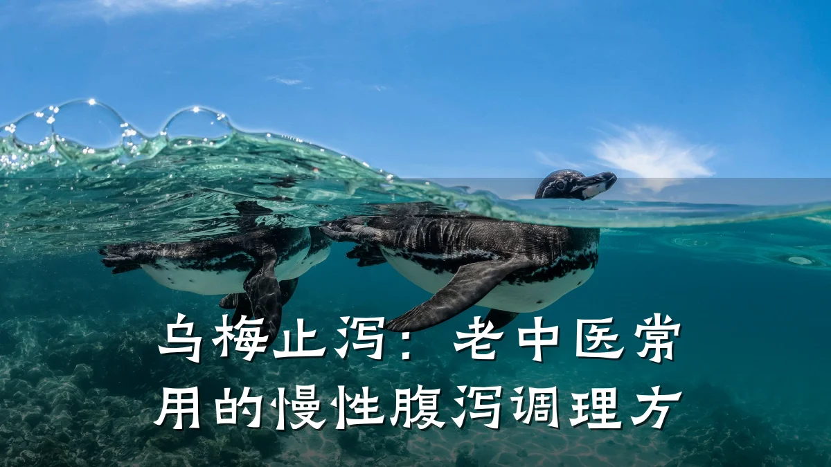 乌梅止泻:老中医常用的慢性腹泻调理方