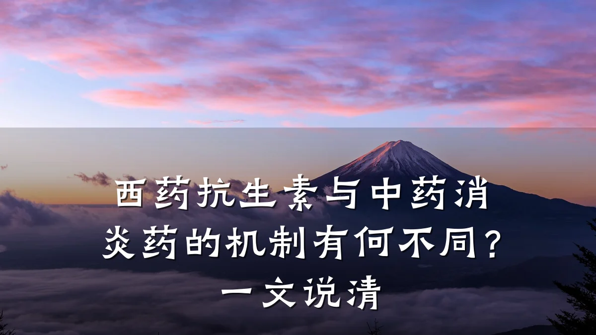 西药抗生素与中药消炎药的机制有何不同?一文说清