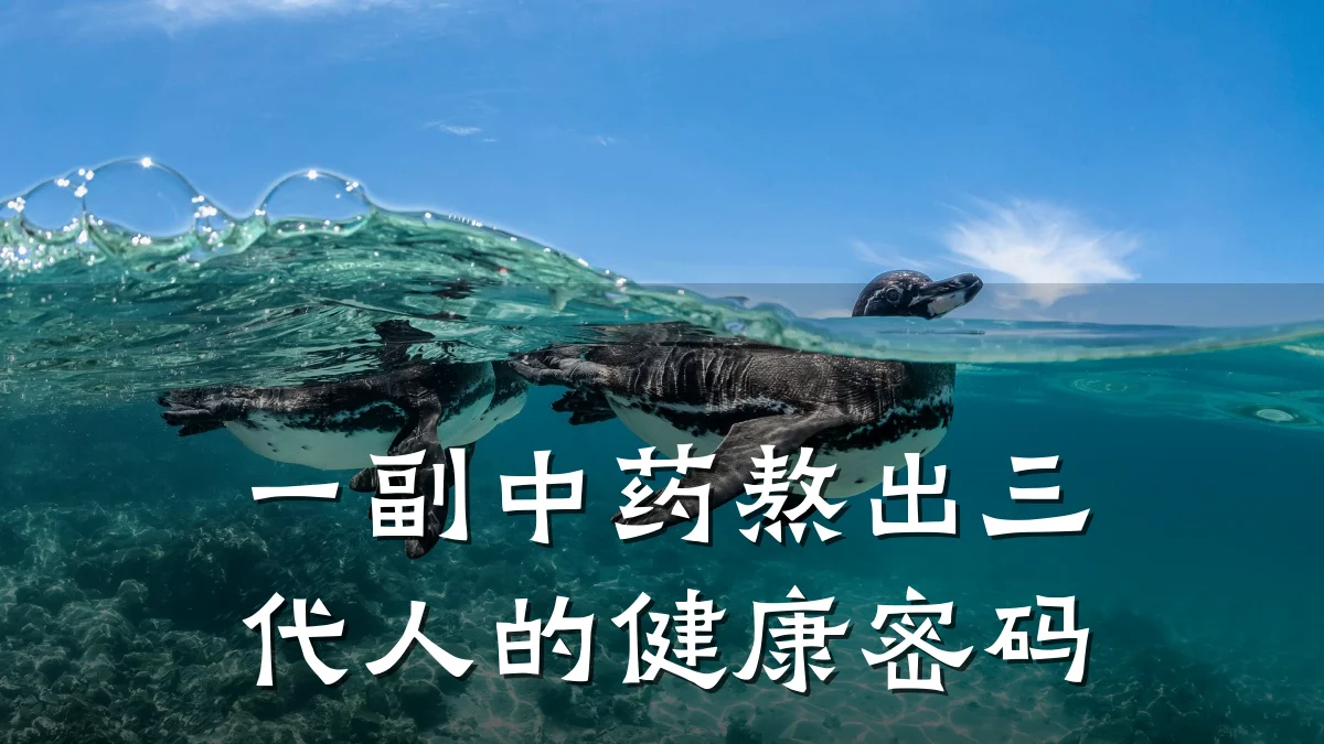 一副中药熬出三代人的健康密码