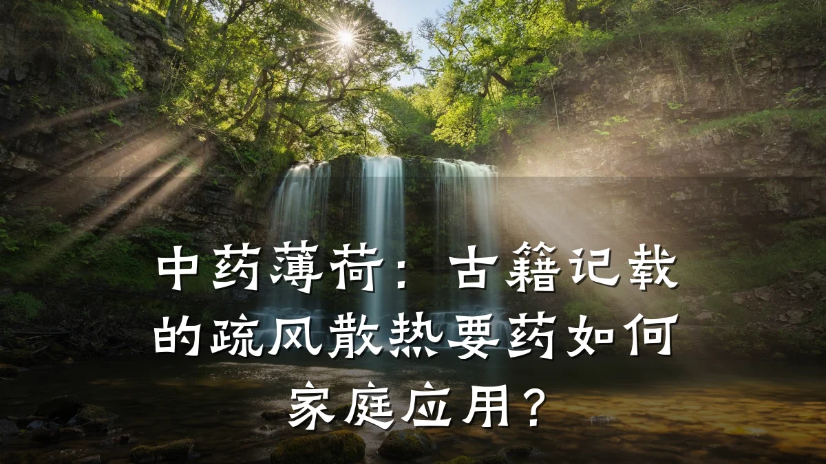 中药薄荷:古籍记载的疏风散热要药如何家庭应用?