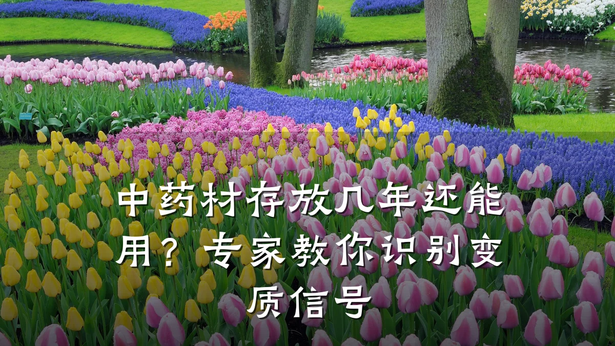 中药材存放几年还能用?专家教你识别变质信号
