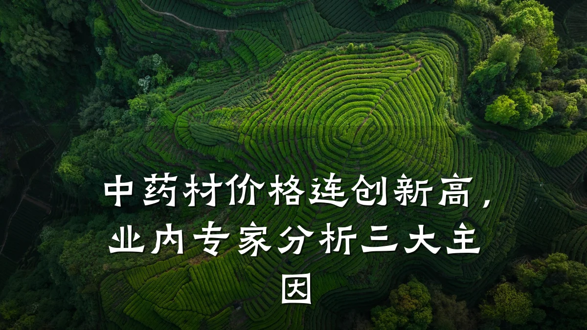 中药材价格连创新高,业内专家分析三大主因