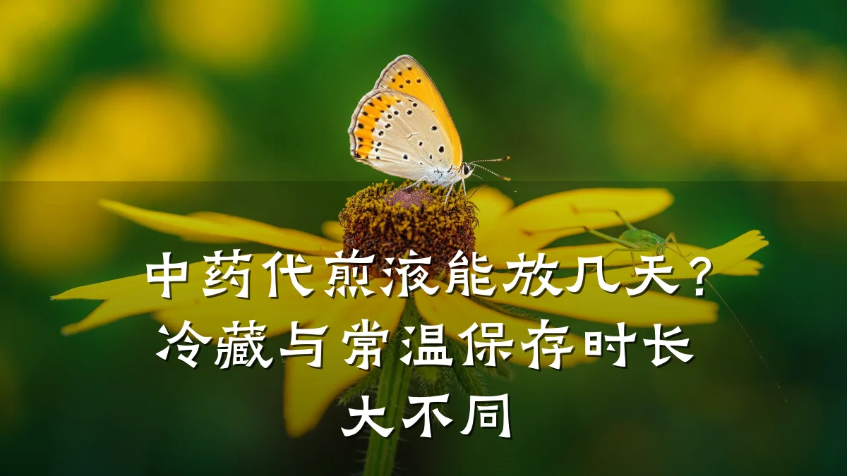 中药代煎液能放几天？冷藏与常温保存时长大不同