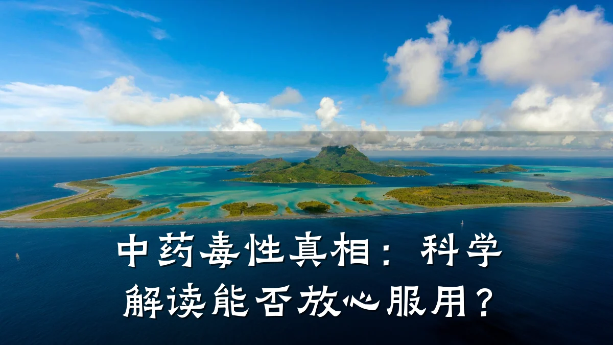 中药毒性真相:科学解读能否放心服用?