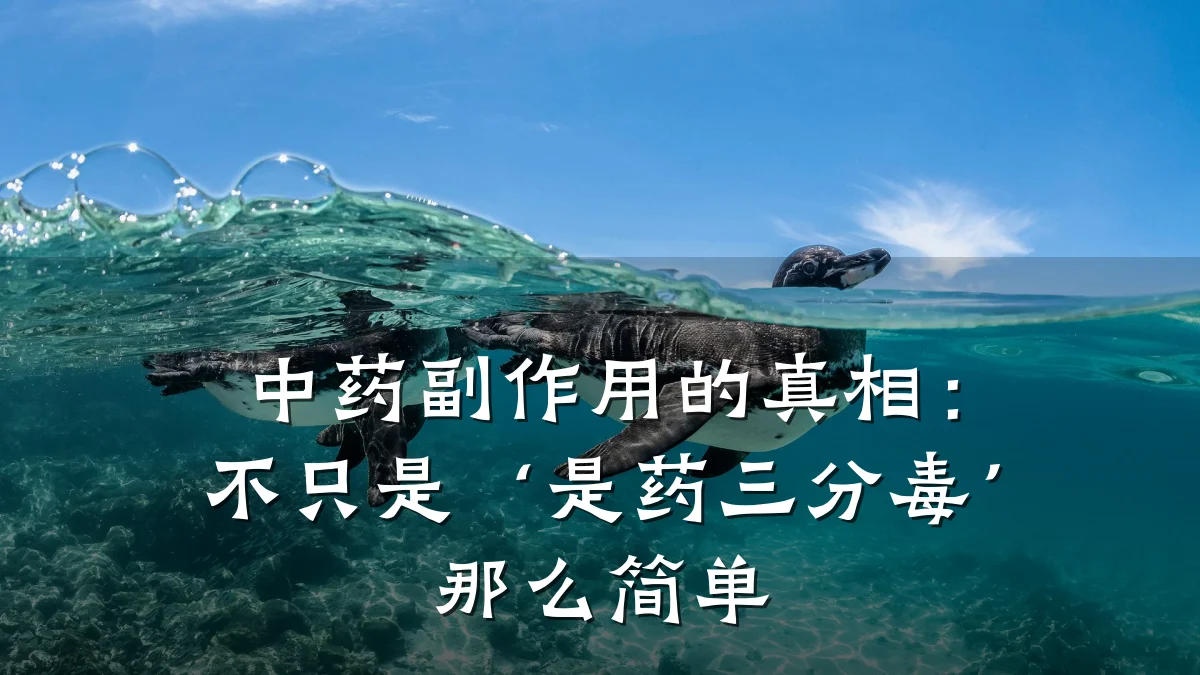 中药副作用的真相:不只是‘是药三分毒’那么简单
