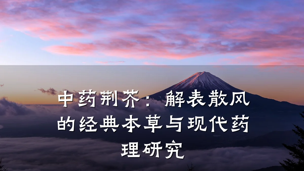 中药荆芥:解表散风的经典本草与现代药理研究