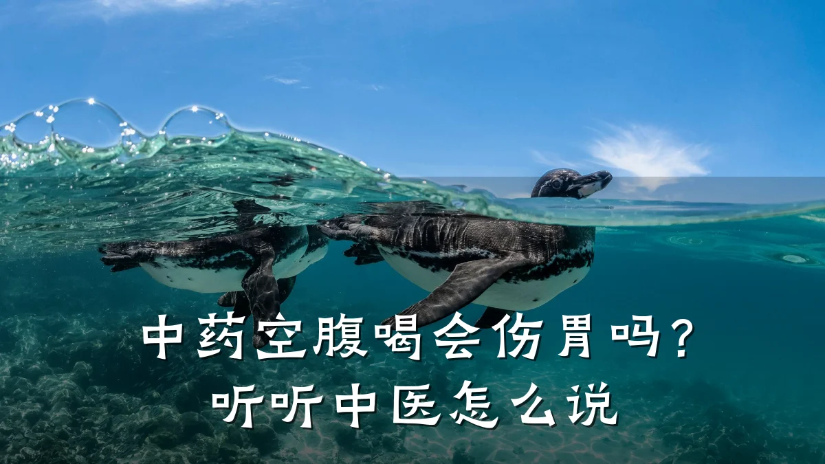 中药空腹喝会伤胃吗?听听中医怎么说