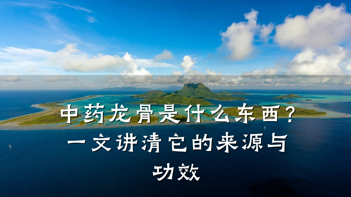 中药龙骨是什么东西?一文讲清它的来源与功效