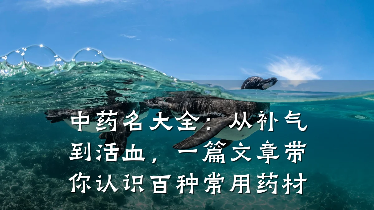 中药名大全:从补气到活血,一篇文章带你认识百种常用药材