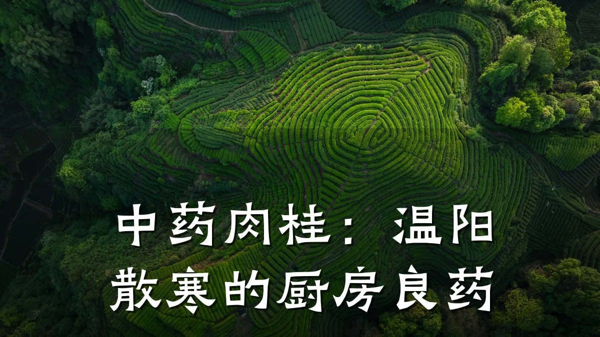 中药肉桂:温阳散寒的厨房良药