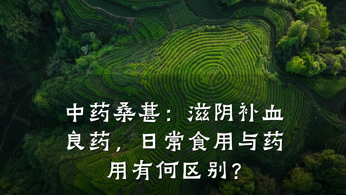 中药桑葚：滋阴补血良药，日常食用与药用有何区别？