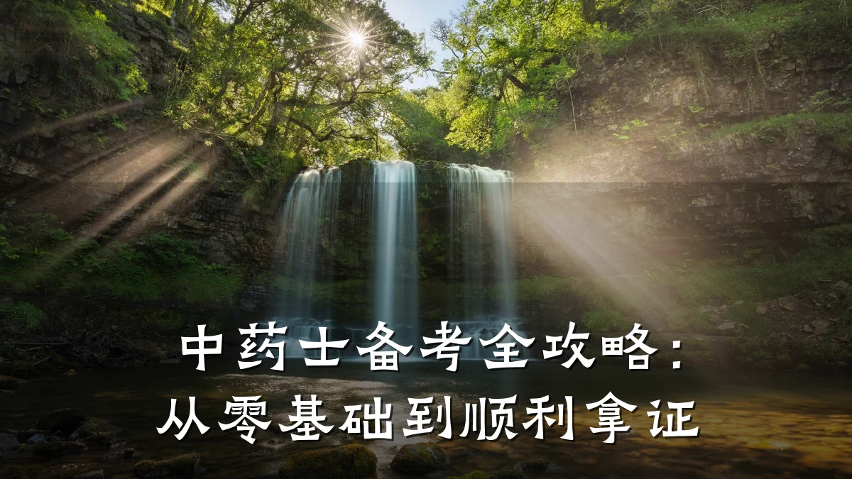 中药士备考全攻略:从零基础到顺利拿证