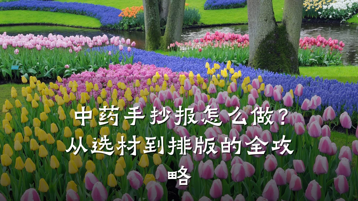 中药手抄报怎么做?从选材到排版的全攻略