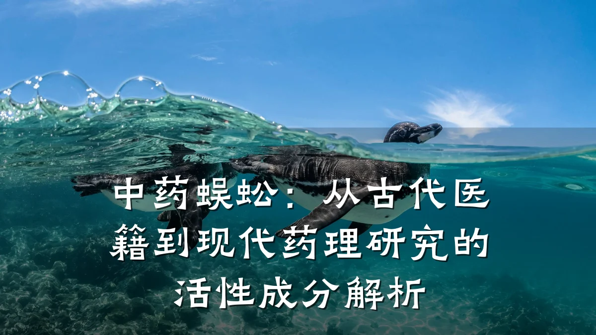 中药蜈蚣:从古代医籍到现代药理研究的活性成分解析