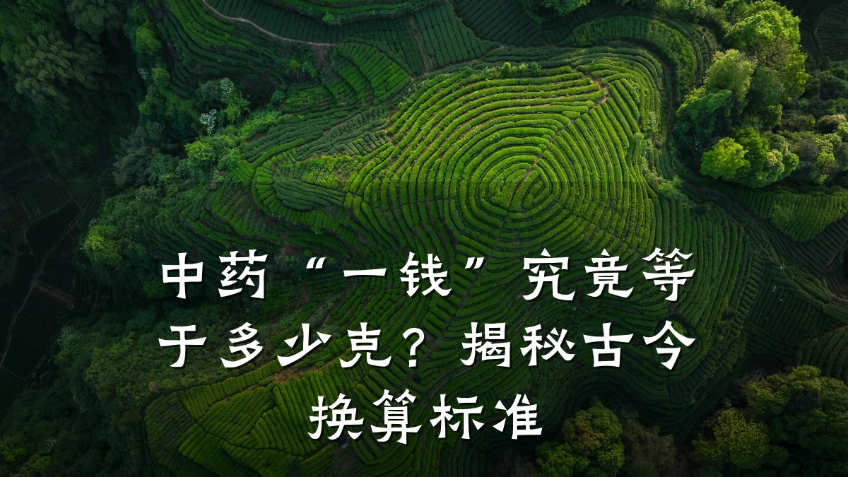 中药“一钱”究竟等于多少克?揭秘古今换算标准