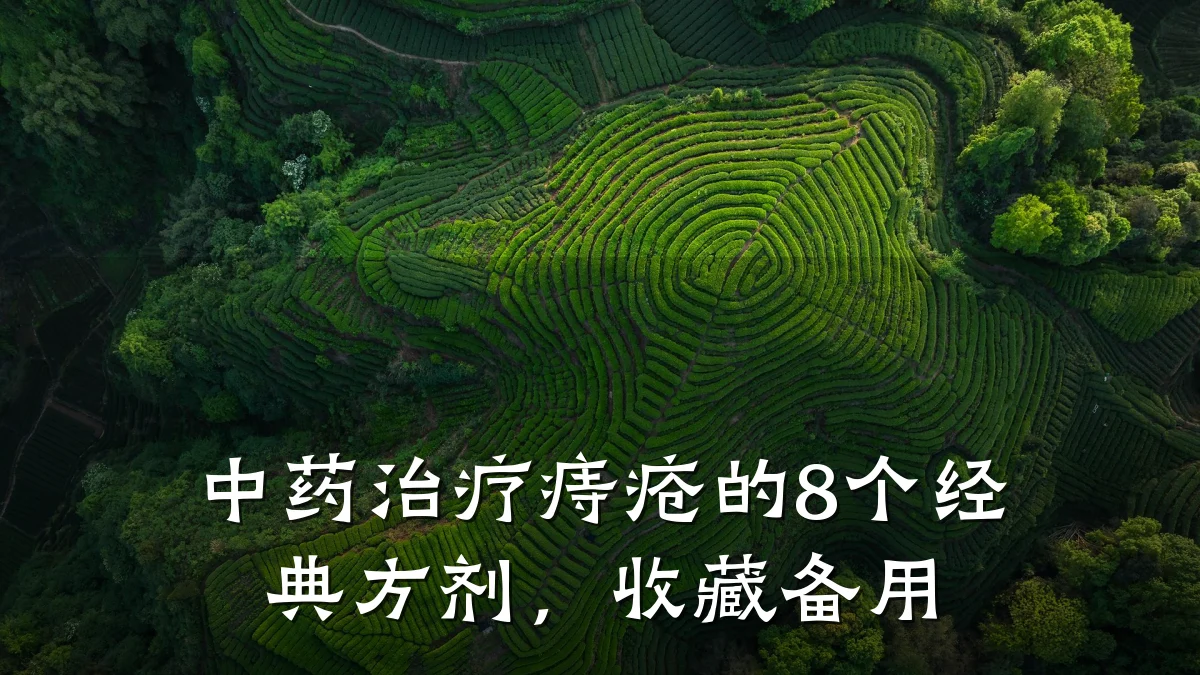 中药治疗痔疮的8个经典方剂,收藏备用
